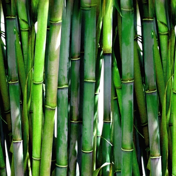 Farmstay - Real Bamboo Essence Mask - Fátyolmaszk