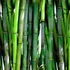 Farmstay - Real Bamboo Essence Mask - Fátyolmaszk