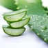 Luxelux - Aloe Vera gél - 270ml